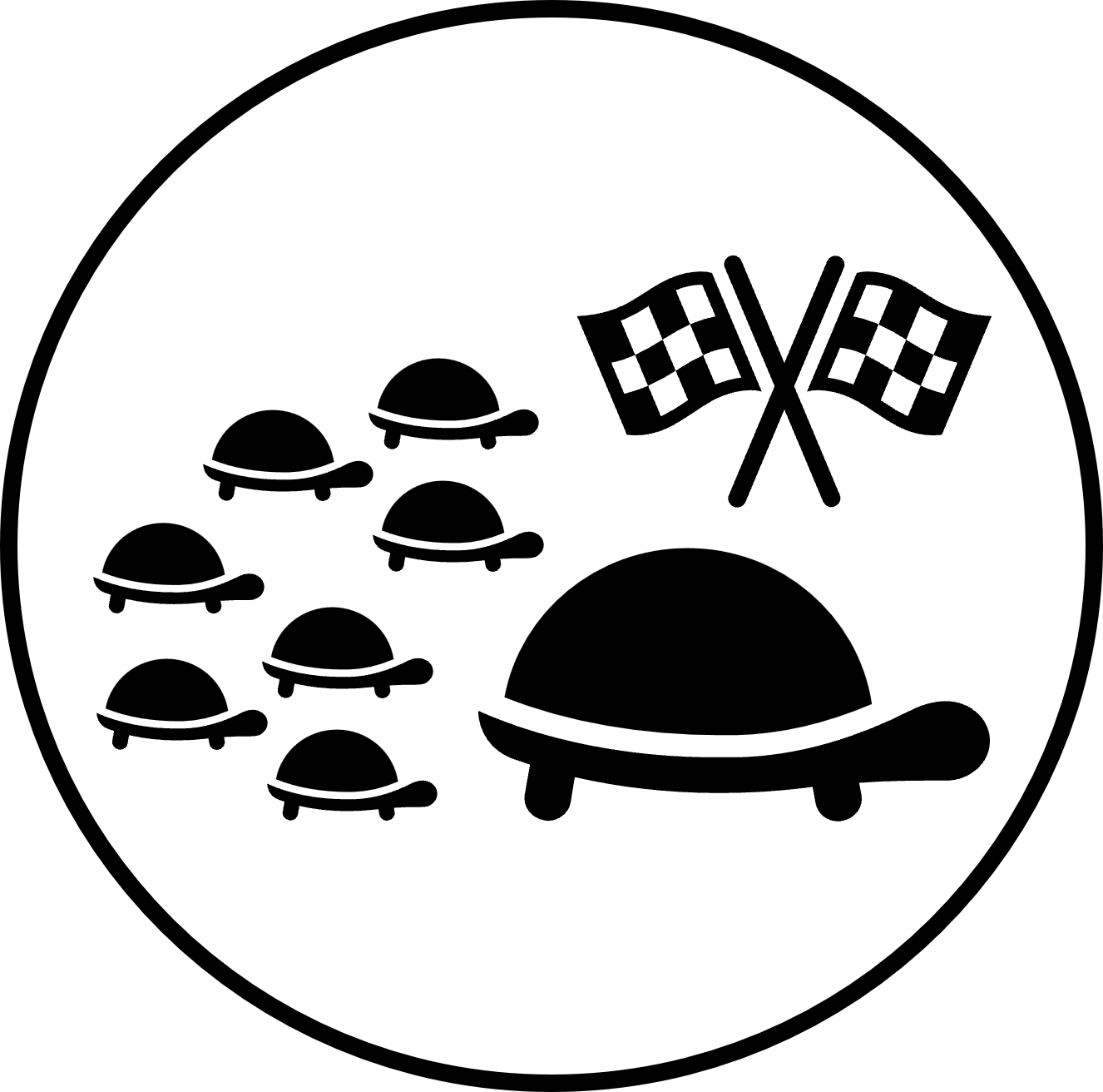Turtle Racing